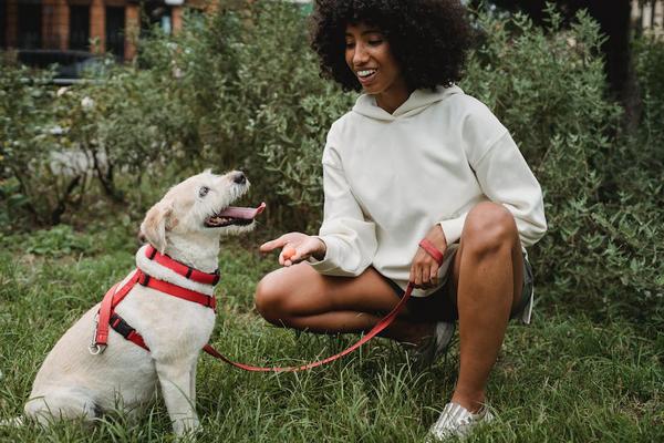 Além do Sabor: Entendendo a Importância dos Ingredientes na Ração para Cachorros Filhotes